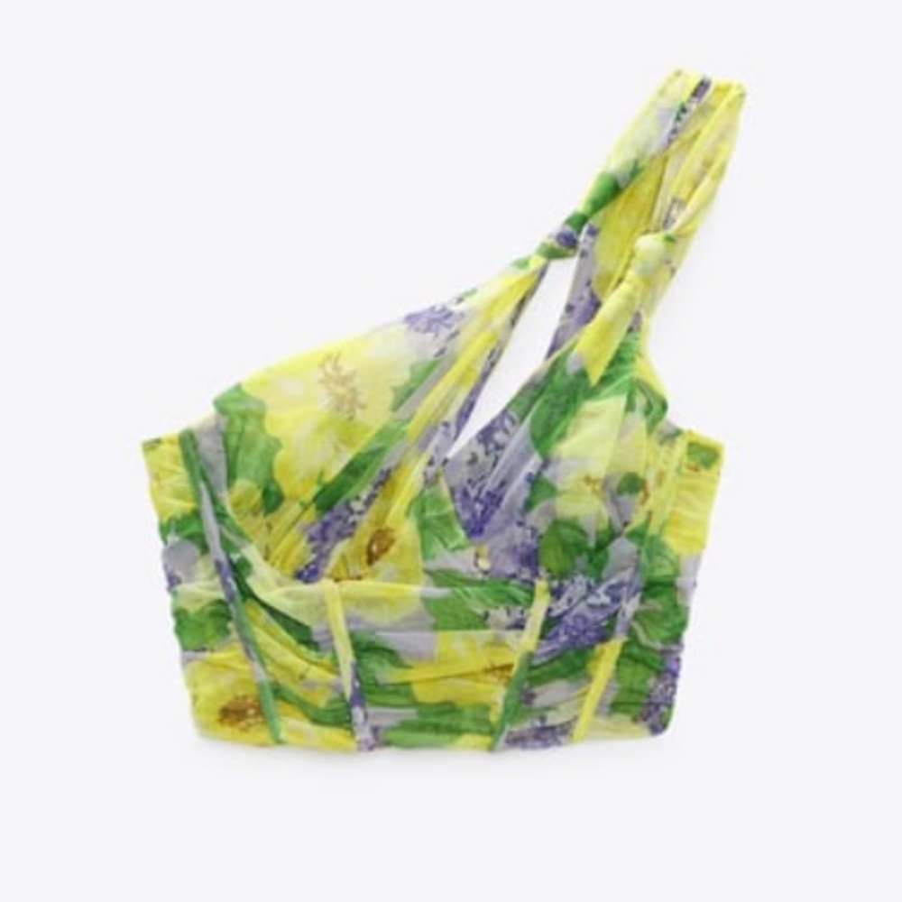 Zara Printed Tulle Fabric Corset Crop Top